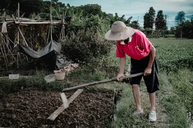 伺服驱动器与步进驱动器选型指南：桂林煜荣科技产品匹配方案