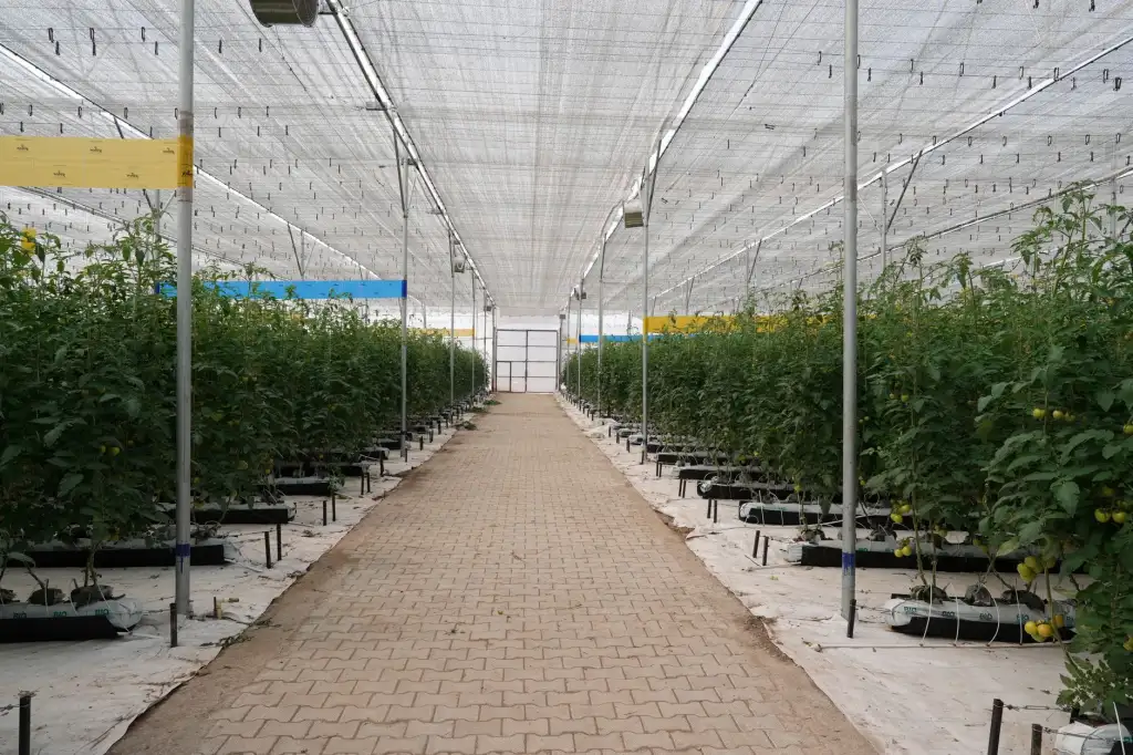 桂林制造企业如何通过伺服驱动器与步进驱动器提升产线自动化水平