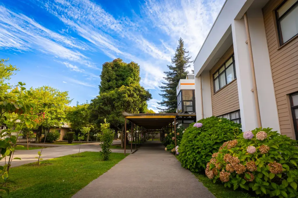 伺服驱动器与步进驱动器选型对比：性能差异及配置建议