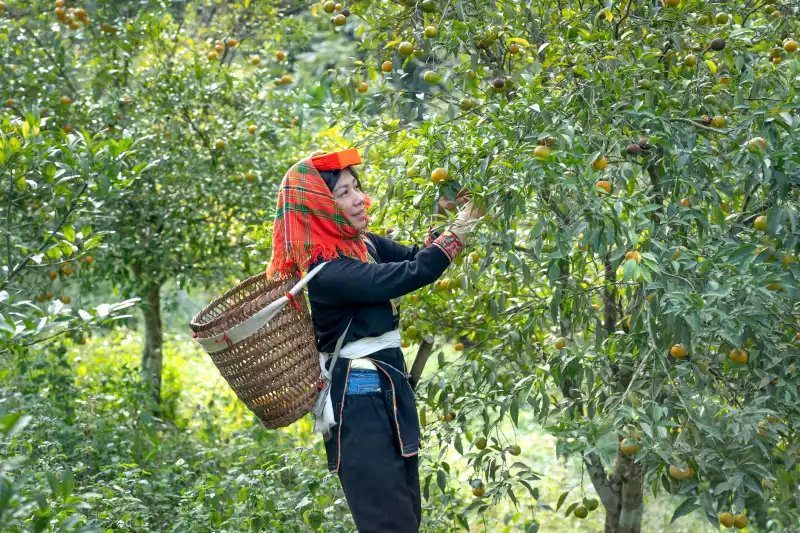 伺服驱动器调试技巧与常见故障排除方法