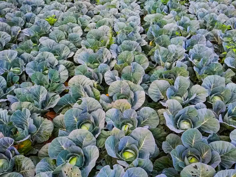 桂林煜荣科技变频器在风机水泵节能改造中的应用方案