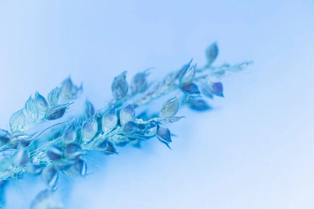 伺服驱动器与步进驱动器性能对比及桂林煜荣技术方案